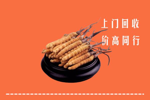 收购行情：阿里普兰县回收散虫草
