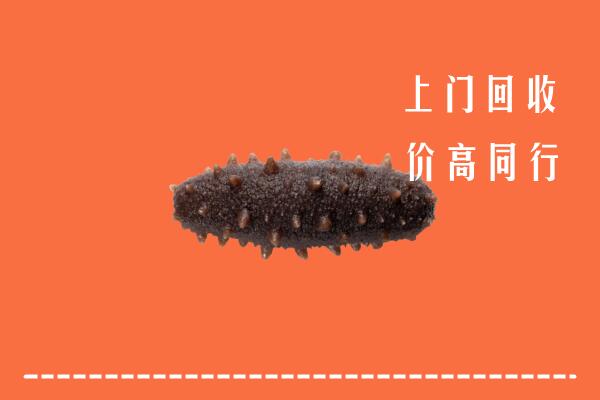 阿里普兰县回收海参