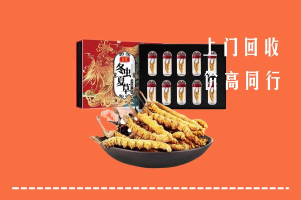阿里普兰县回收虫草